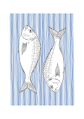 Sea Bream Wall Art | Sea Creatures