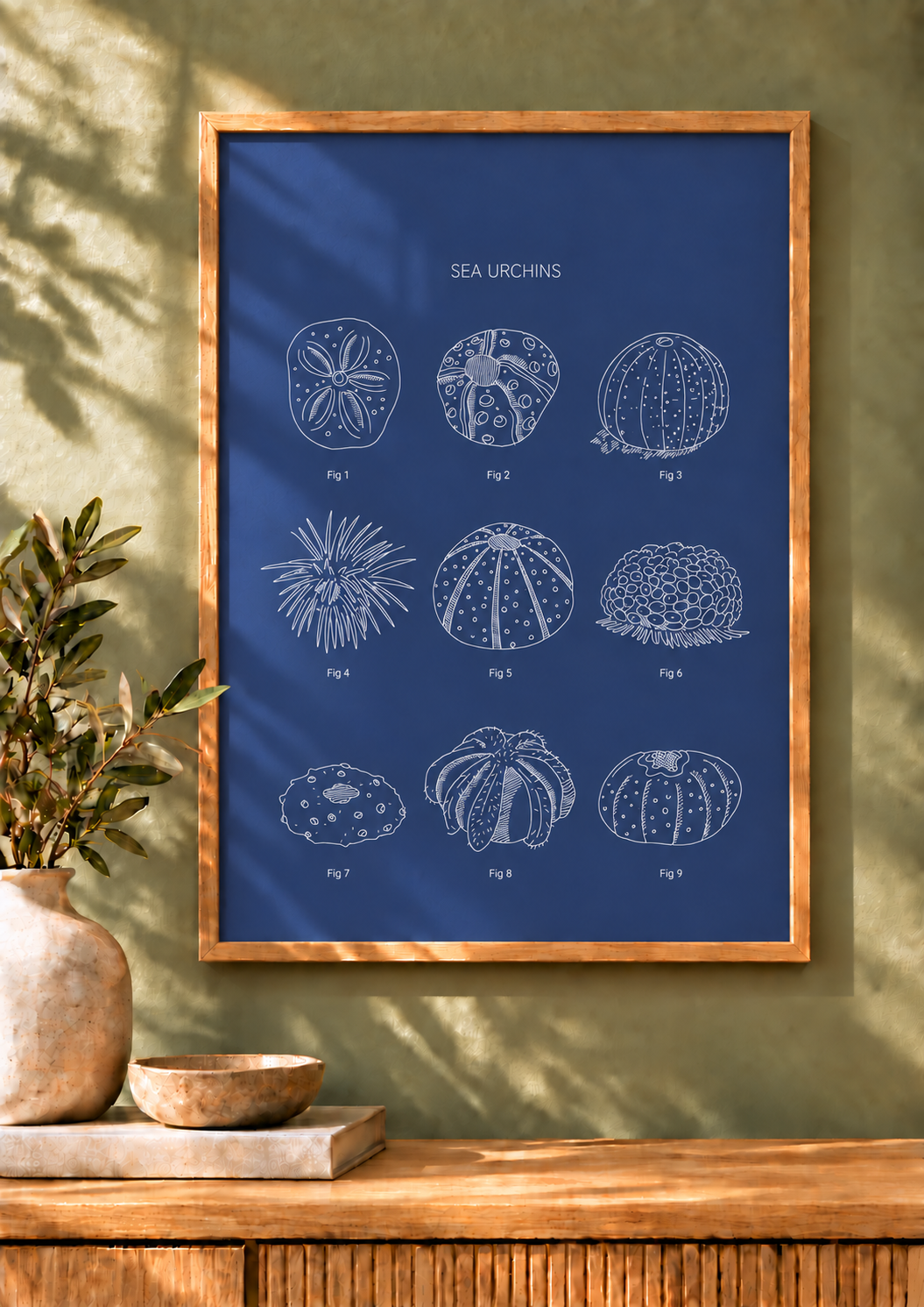 Sea Urchins - Natural History Art