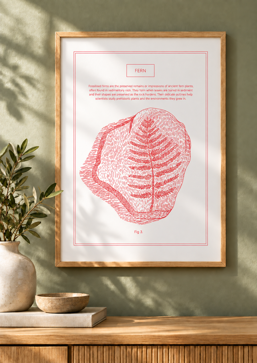 Fern - Natural History Art
