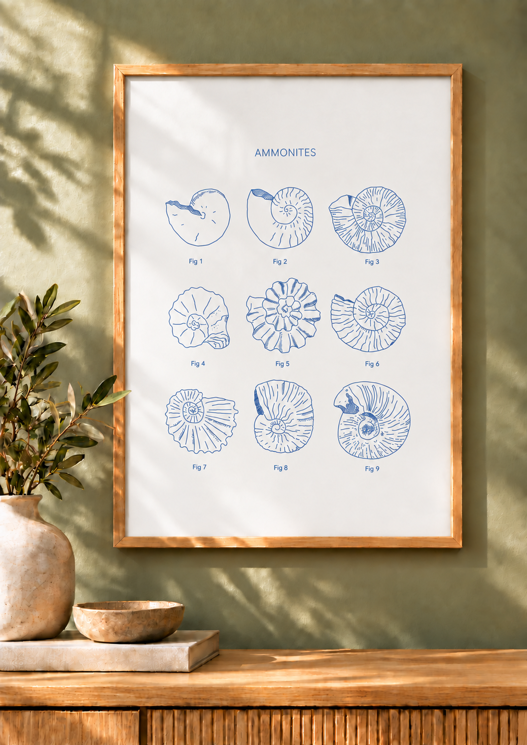 Ammonites - Natural History Art