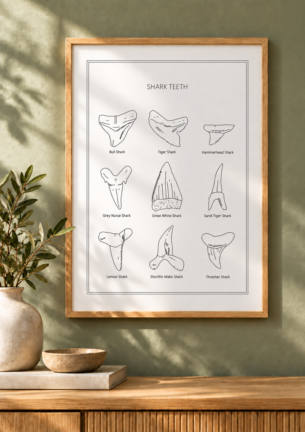 Shark Teeth - Natural History Art