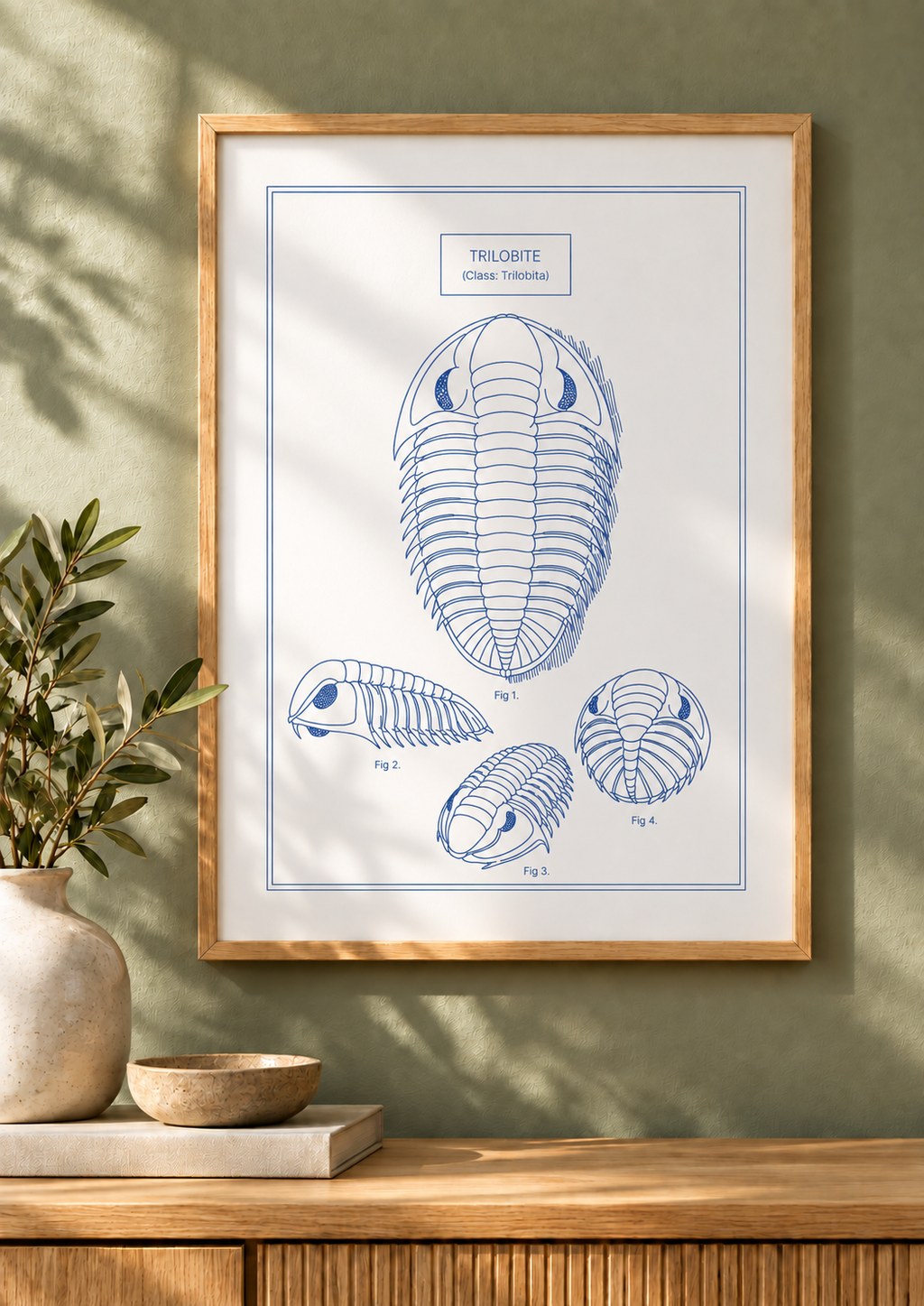 Trilobite - Natural History Art