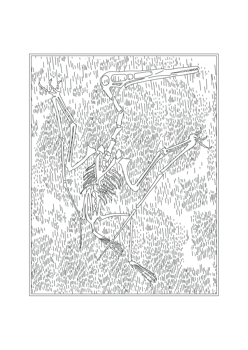 Pterodactyl Fossil - Natural History Art