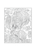 Pterodactyl Fossil - Natural History Art