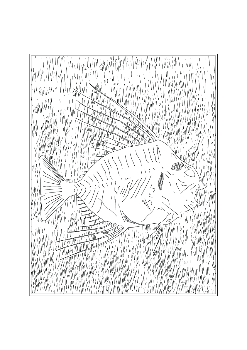 Fossilised Fish - Natural History Art