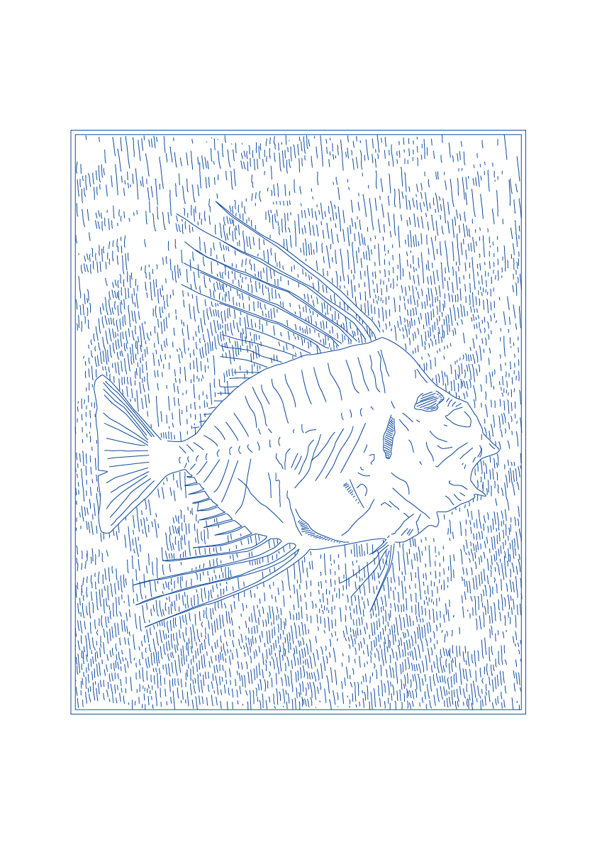 Fossilised Fish - Natural History Art