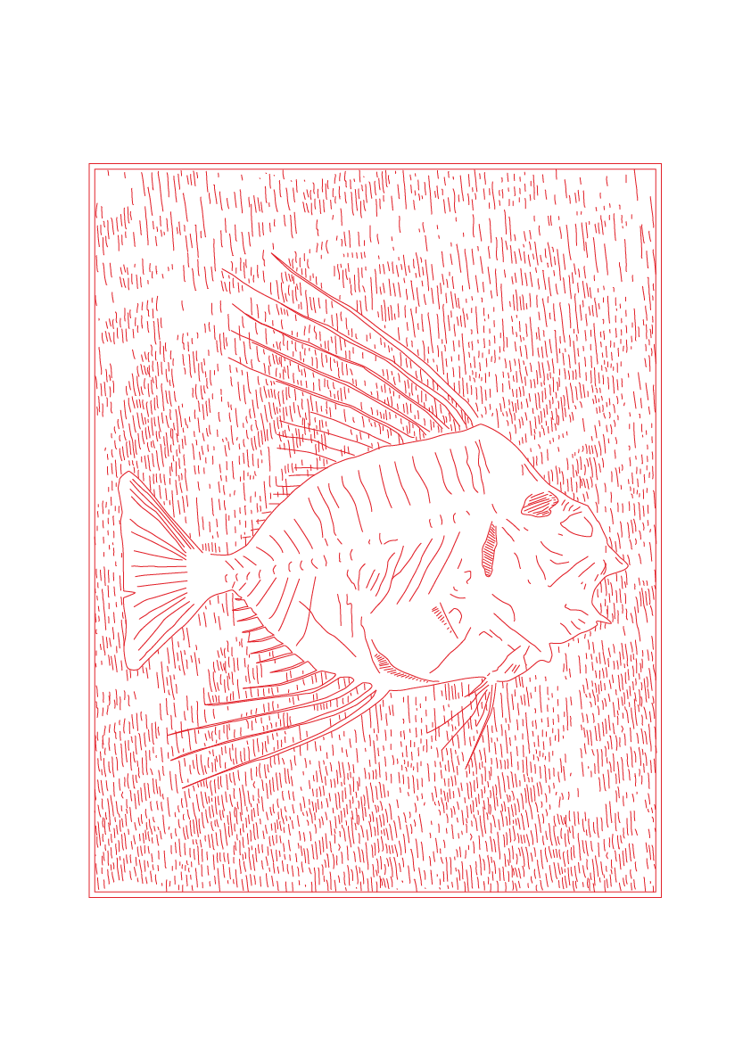 Fossilised Fish - Natural History Art