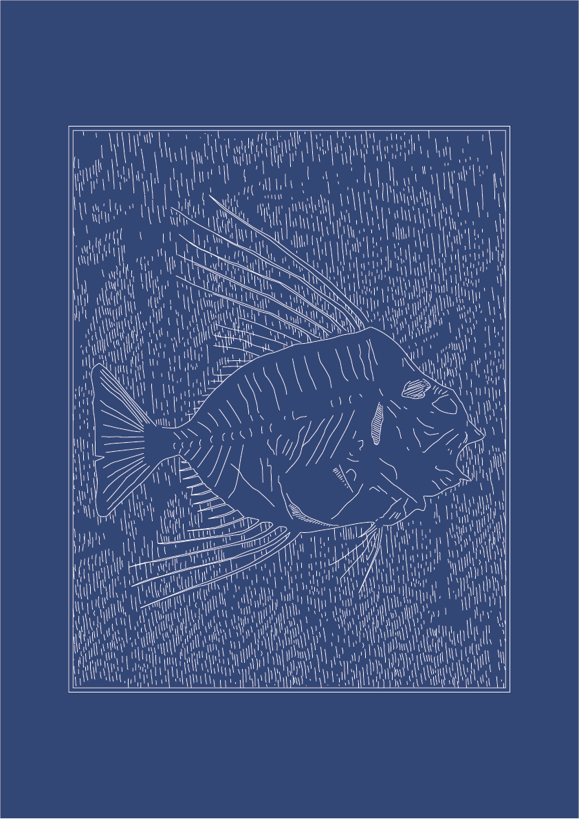 Fossilised Fish - Natural History Art