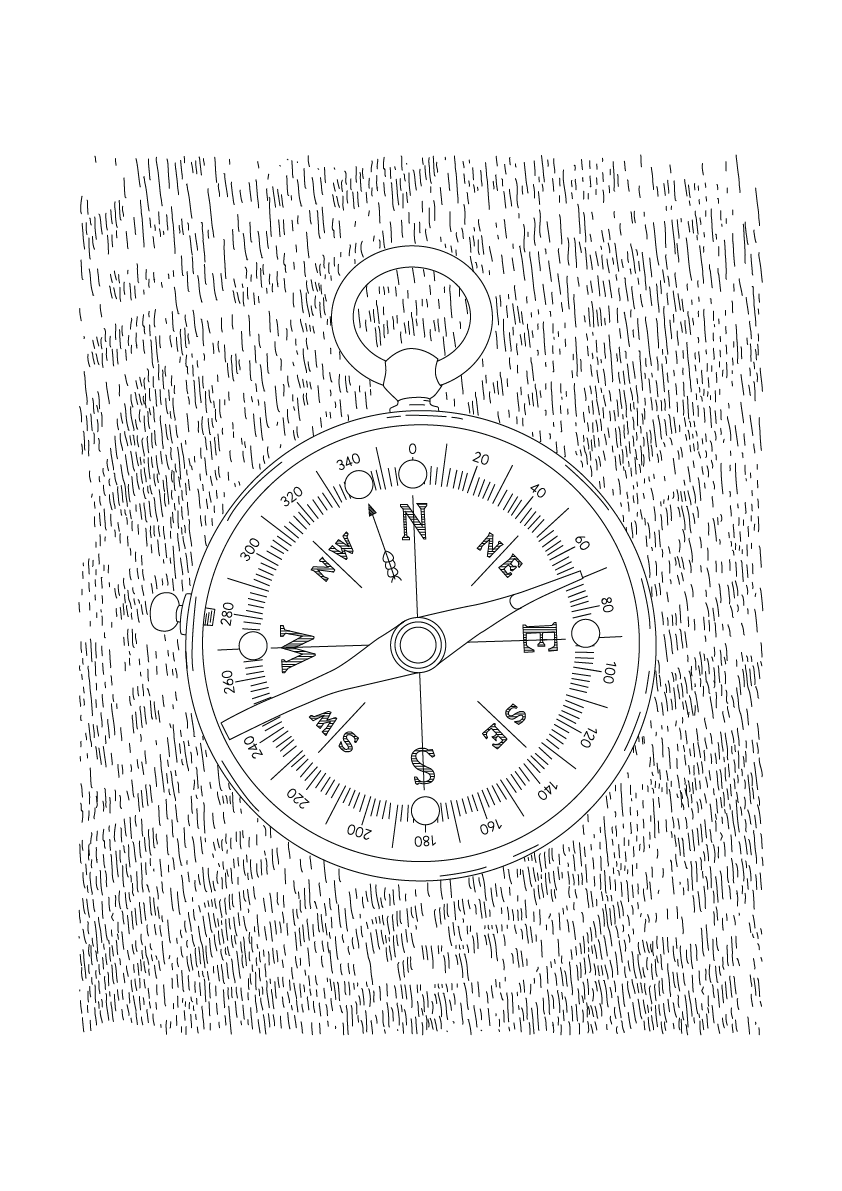 Compass - The Great Outdoors Art