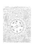 Compass - The Great Outdoors Art