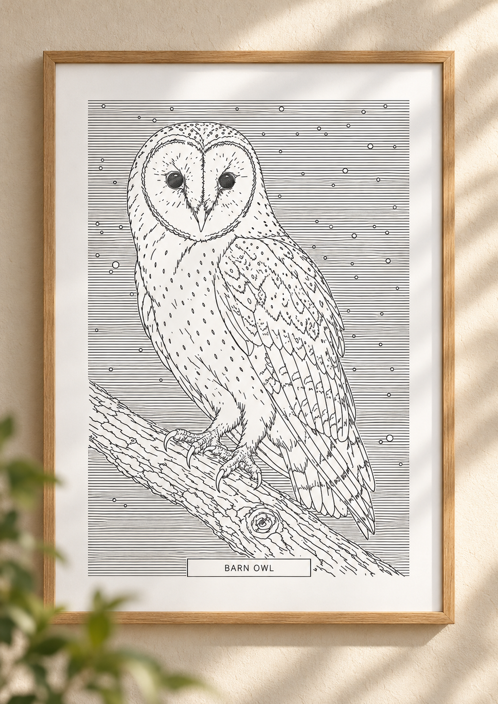 Barn Owl | British Birds Art