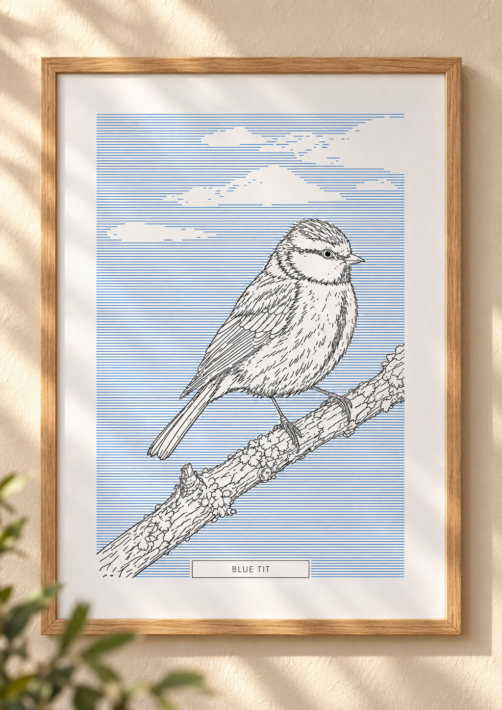 Blue Tit | British Birds Art