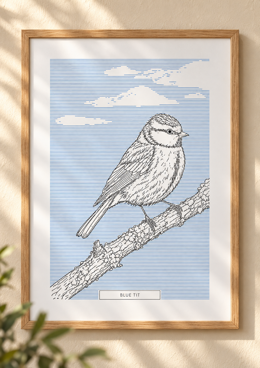 Blue Tit | British Birds Art