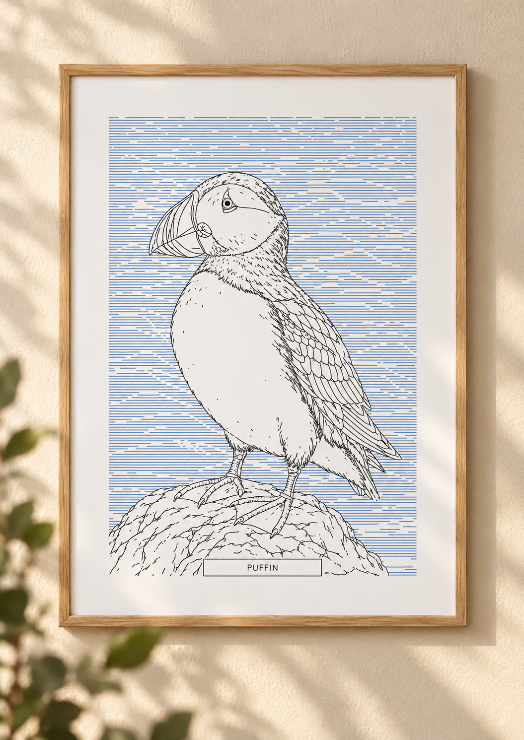 Puffin | British Birds Art