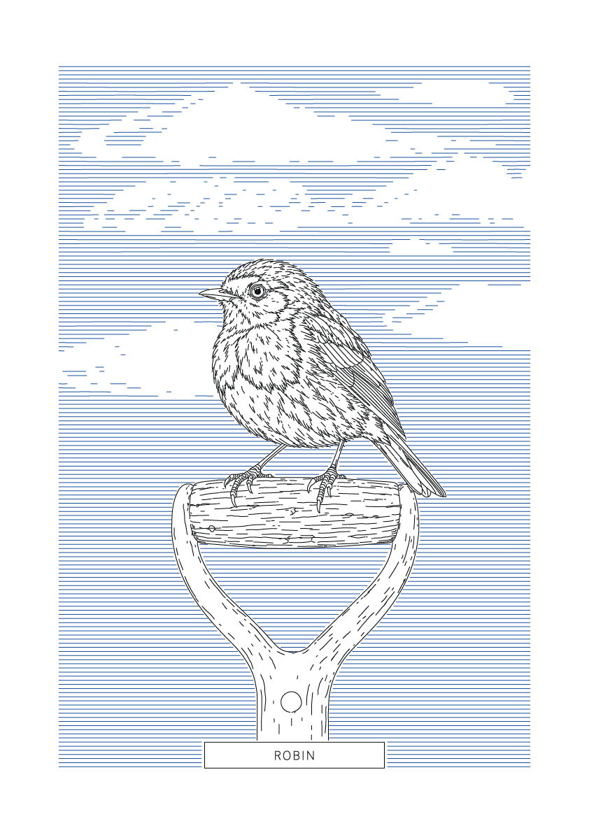 Robin | British Birds Art