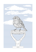 Robin | British Birds Art