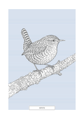 Wren | British Birds Art