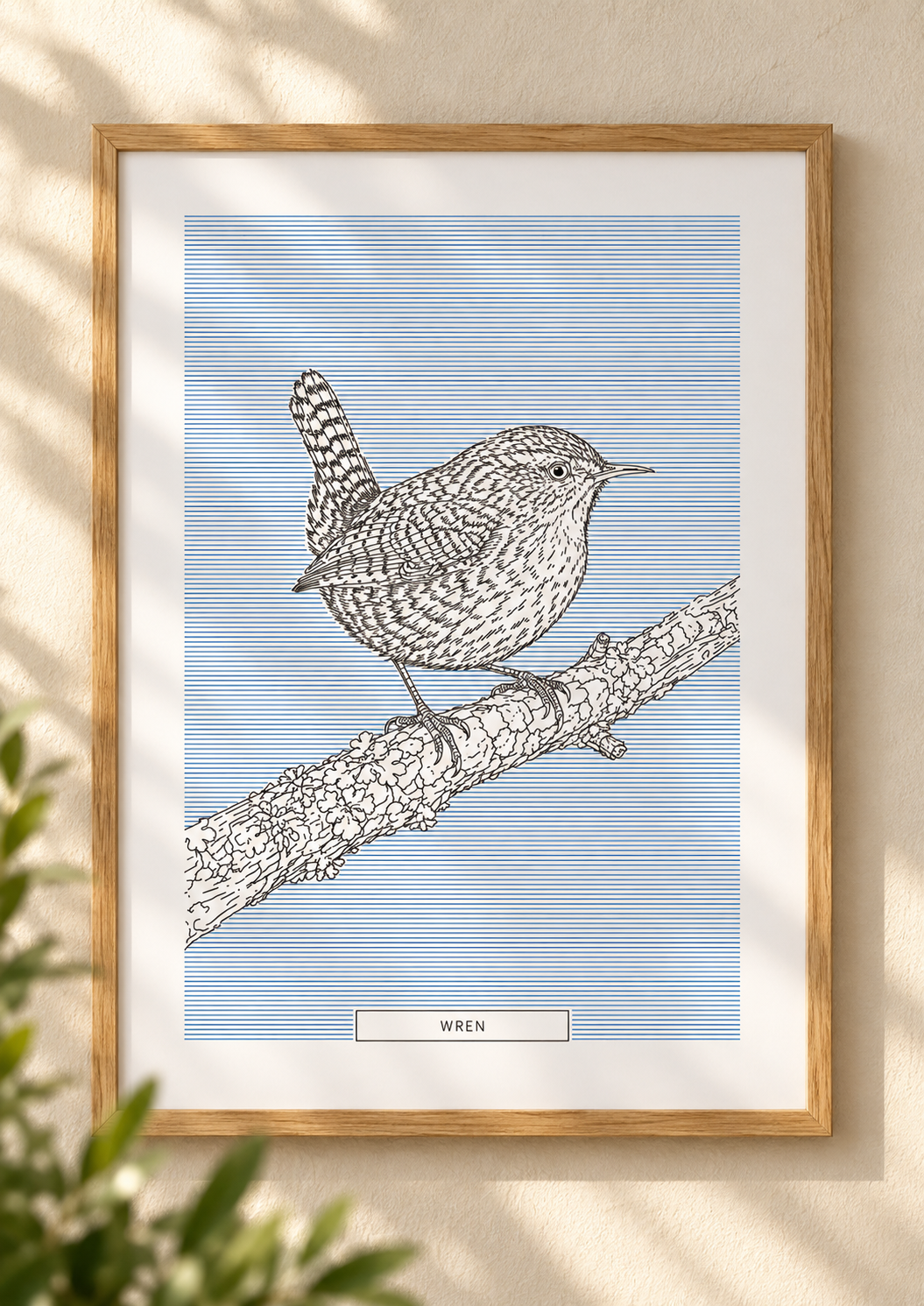 Wren | British Birds Art
