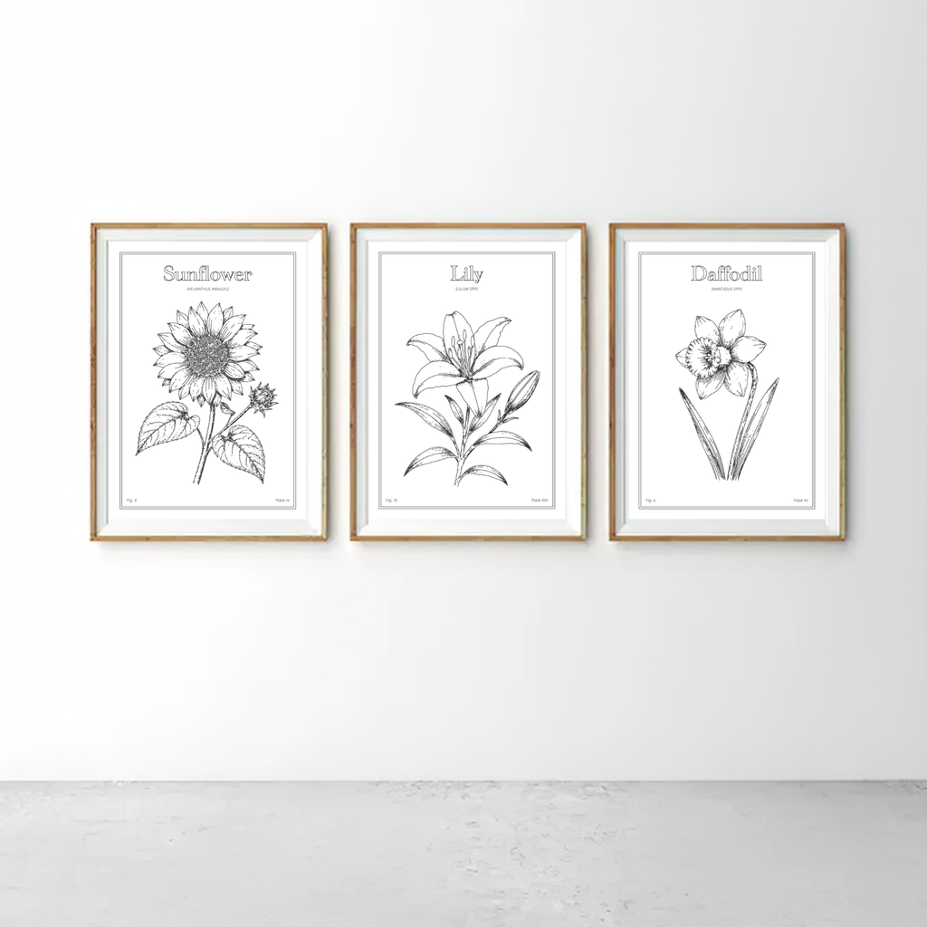 Daffodil Flower - Minimalist Botanical Wall Art