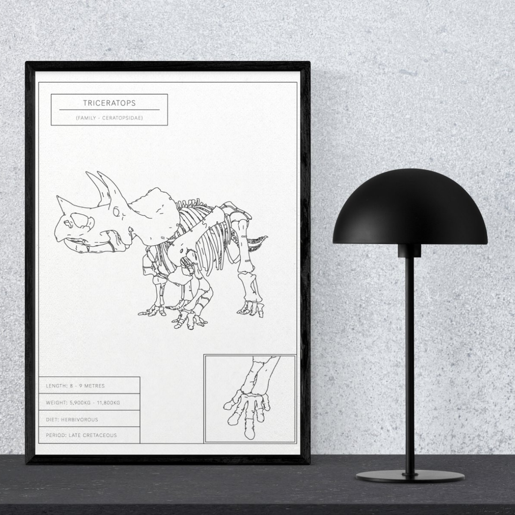 Triceratops | Dinosaur Wall Art