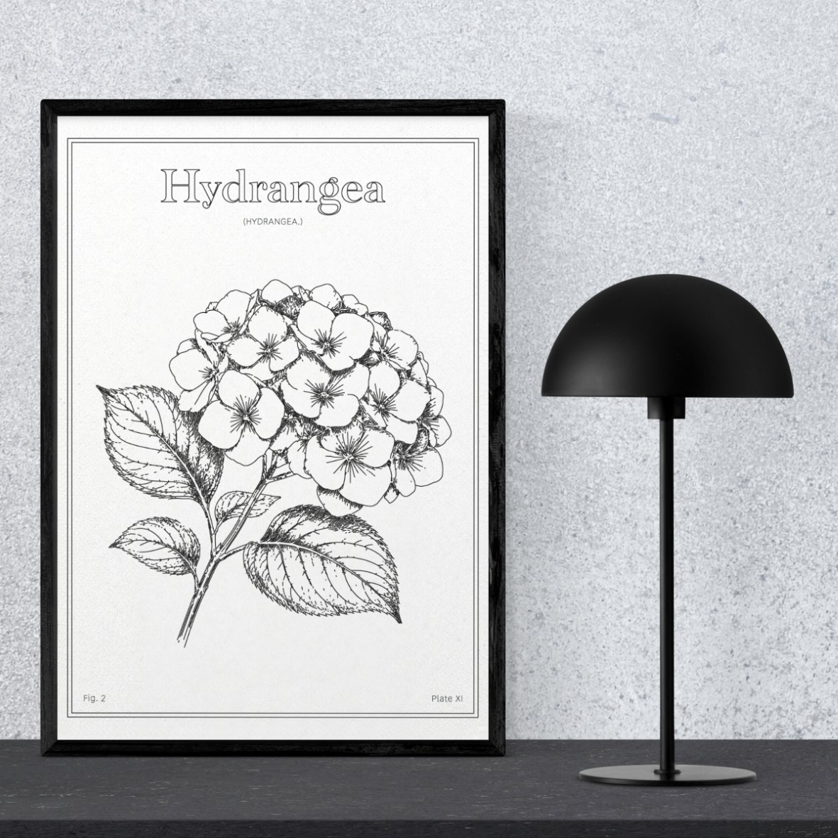 Hydrangea Flower - Minimalist Botanical Wall Art