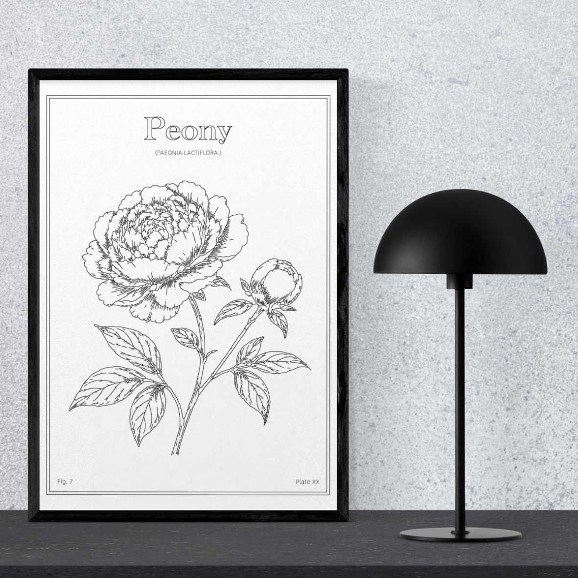 Peony Flower - Minimalist Botanical Wall Art