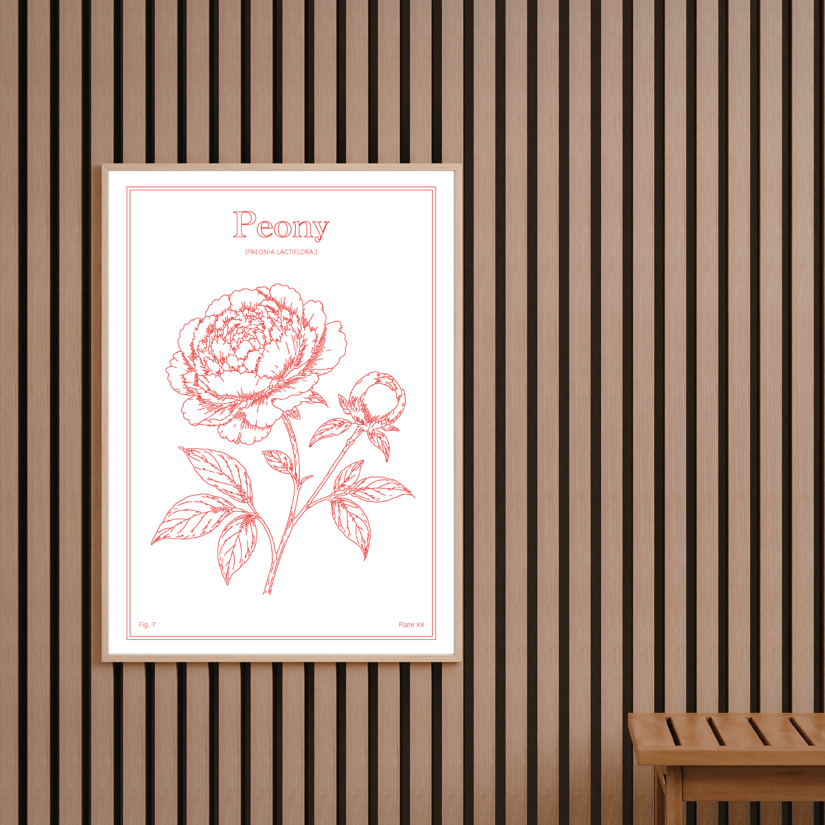 Peony Flower - Minimalist Botanical Wall Art