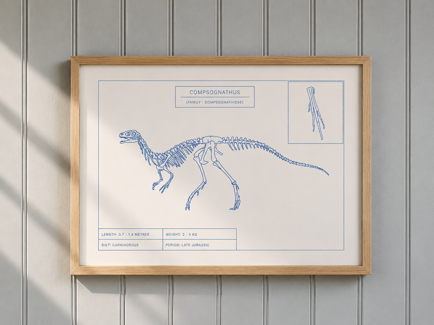 Compsognathus | Dinosaur Wall Art