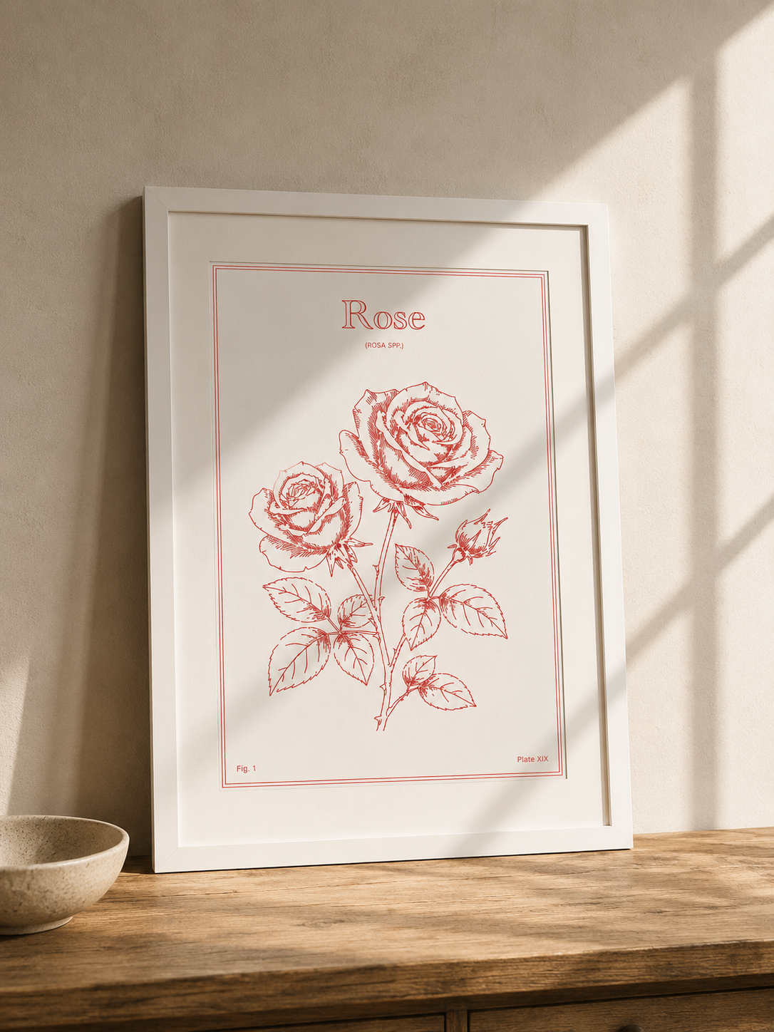 Rose Flower - Minimalist Botanical Wall Art