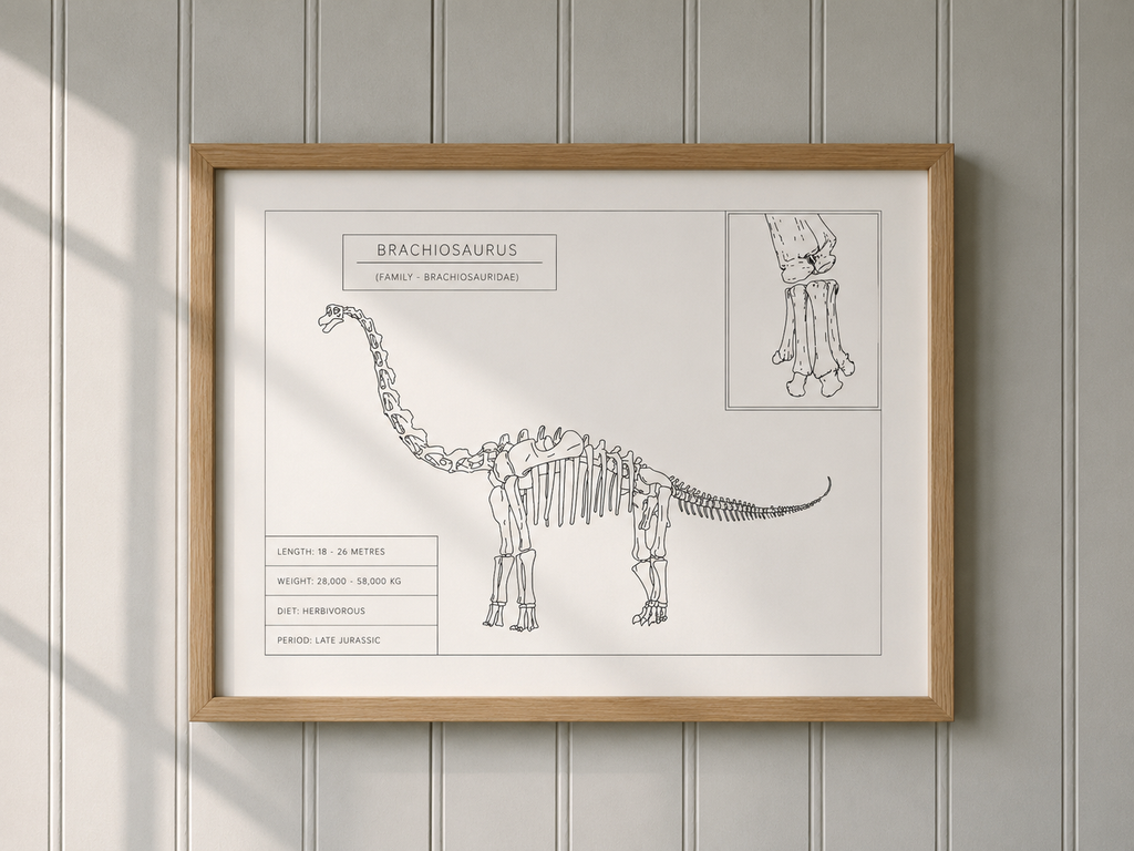 Brachiosaurus | Dinosaur Wall Art