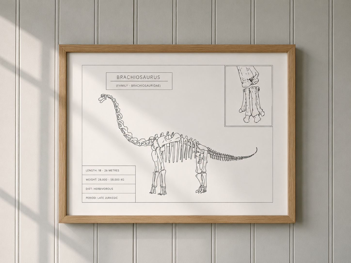 Brachiosaurus | Dinosaur Wall Art